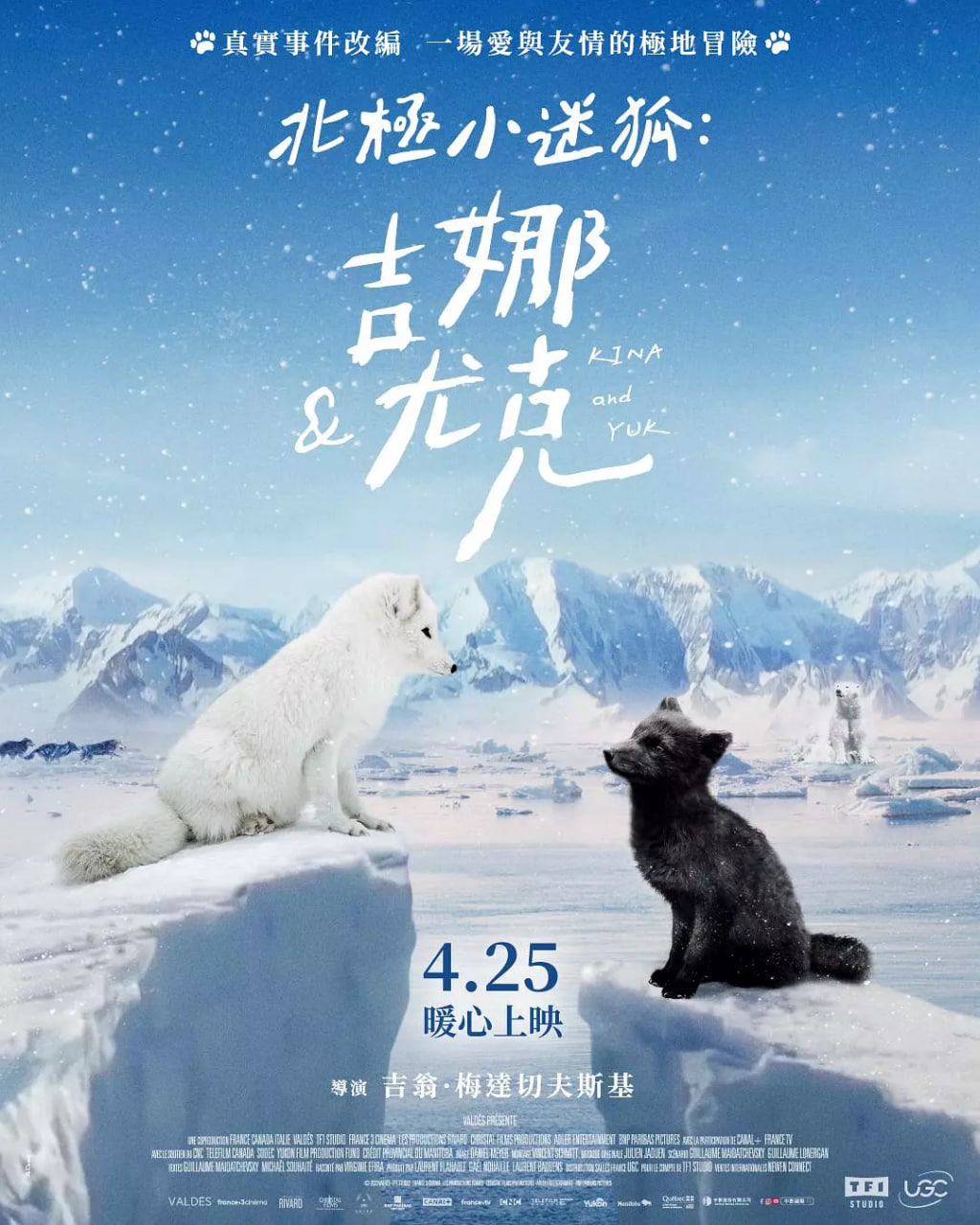北极小迷狐吉娜&amp;尤克