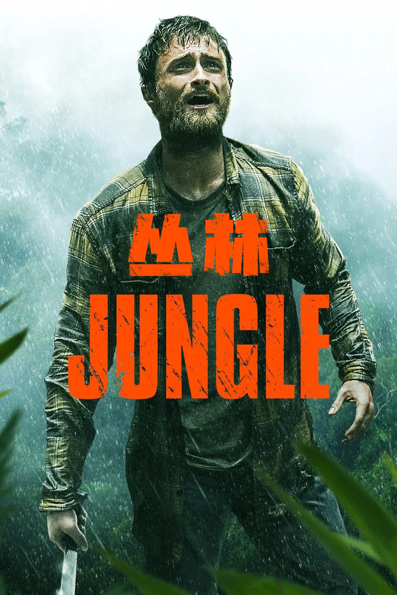 丛林