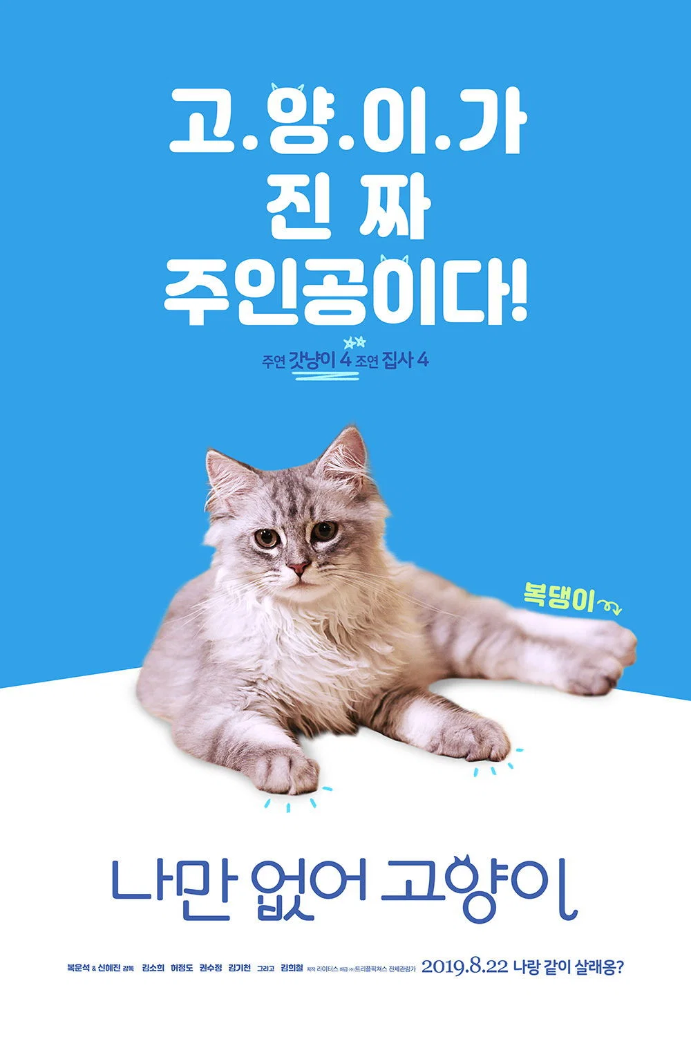 只有我没有猫