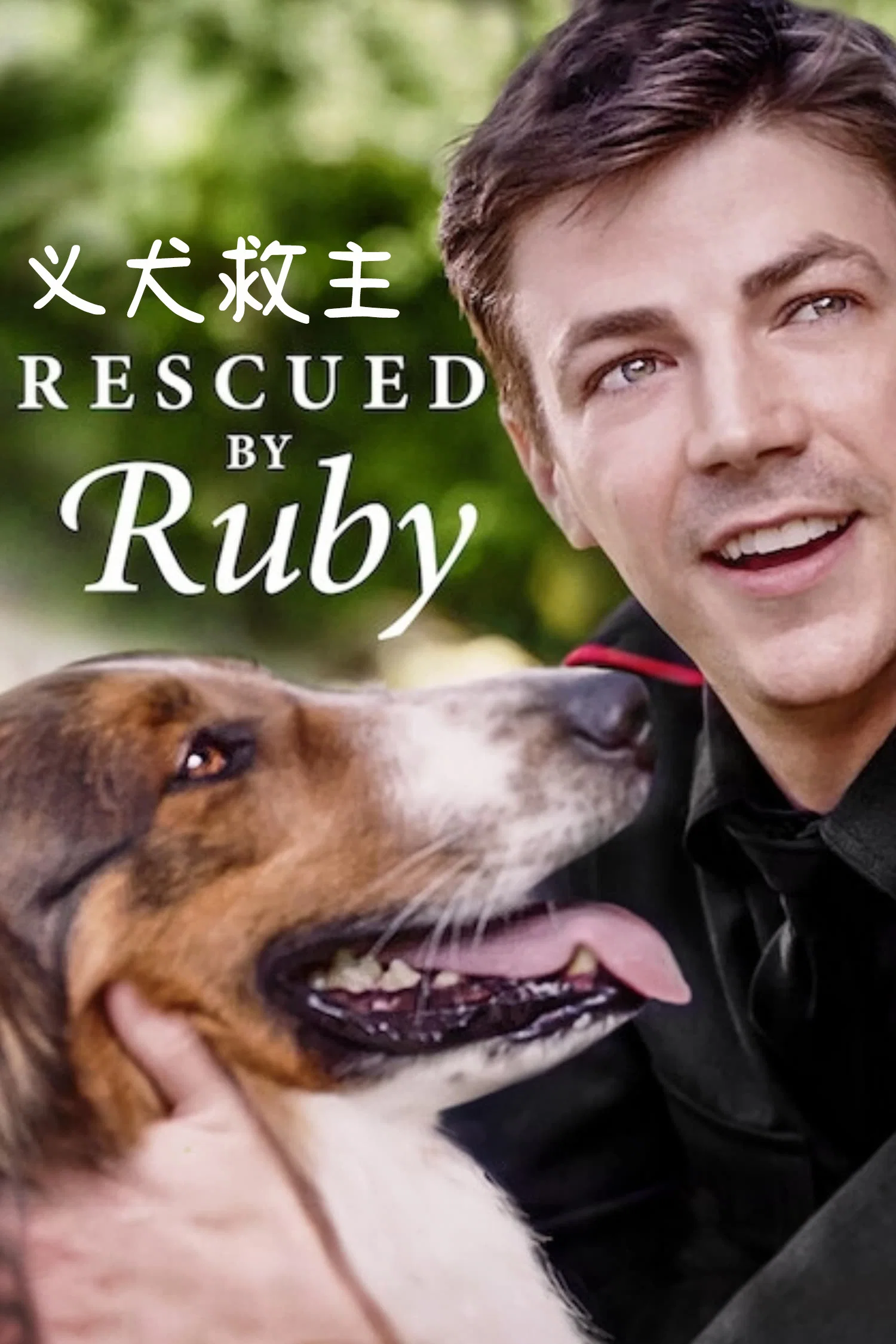 义犬救主