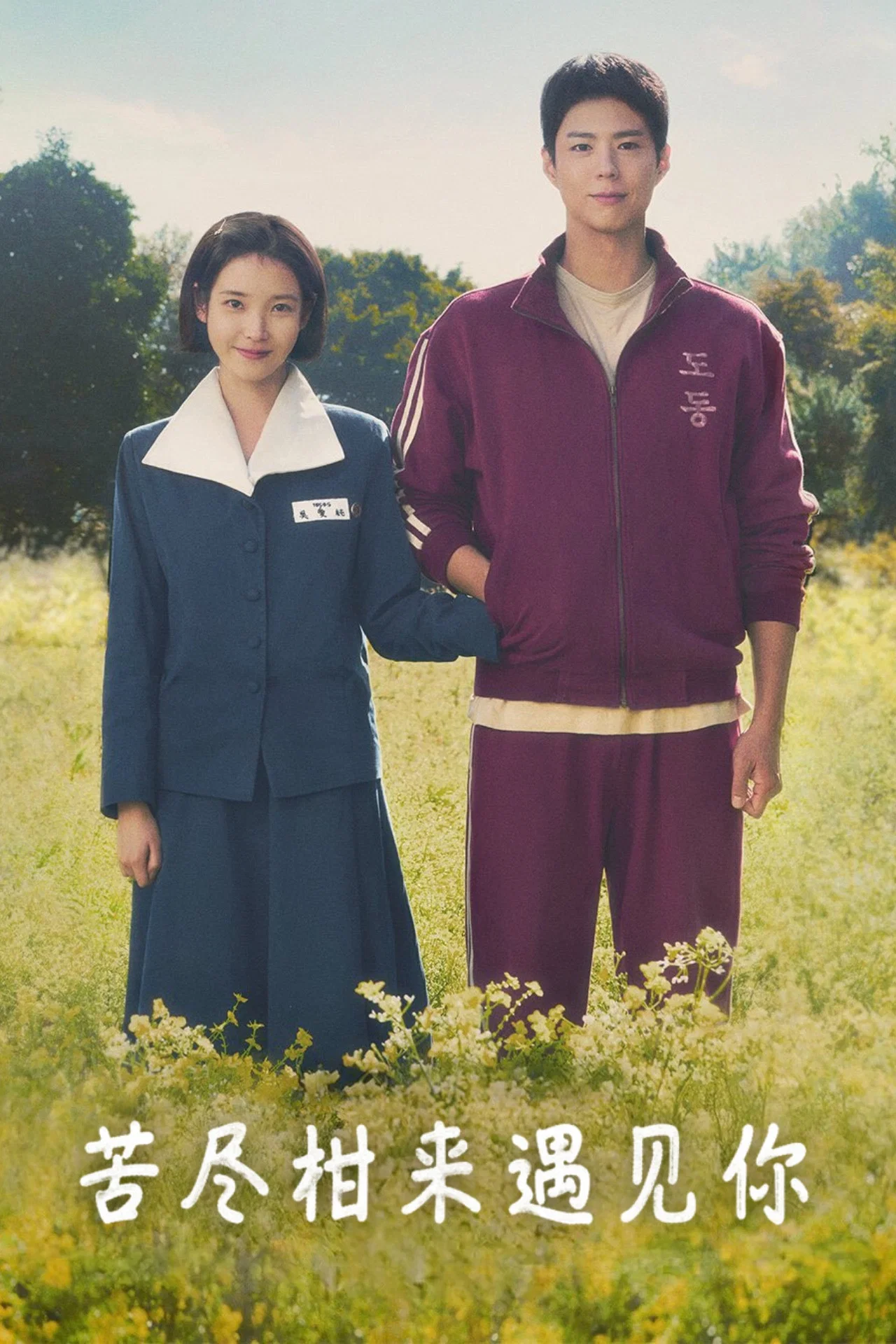 苦尽柑来遇见你