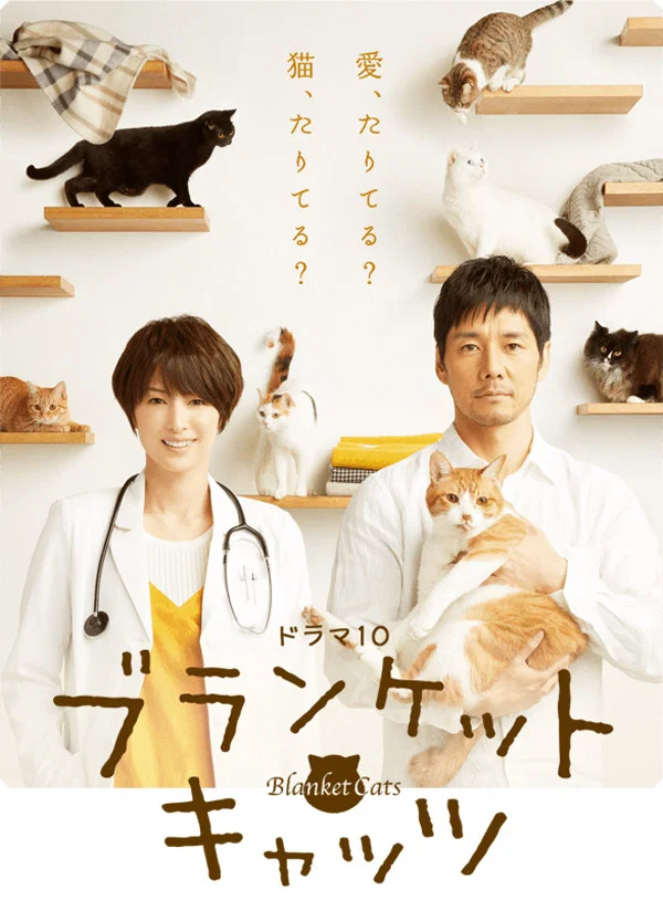 毛毯猫